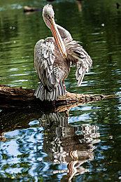 Steam新一周销量榜 《光环：无限》战役二连冠